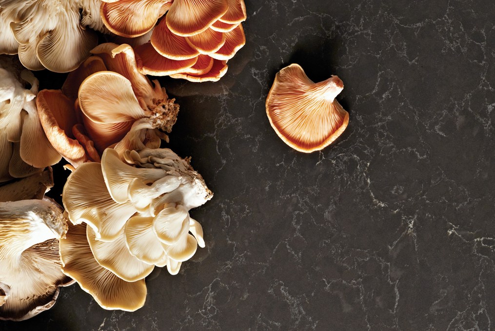 Caesarstone 5003 Piatra Grey